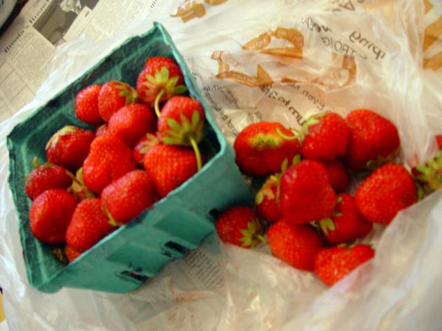 DSC04990