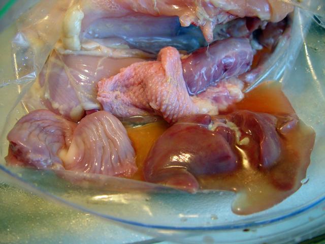 DSC05010